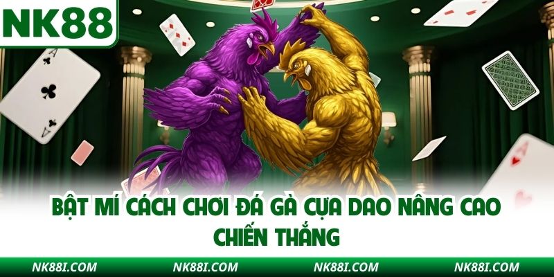Bật mí cách chơi đá gà cựa dao nâng cao chiến thắng