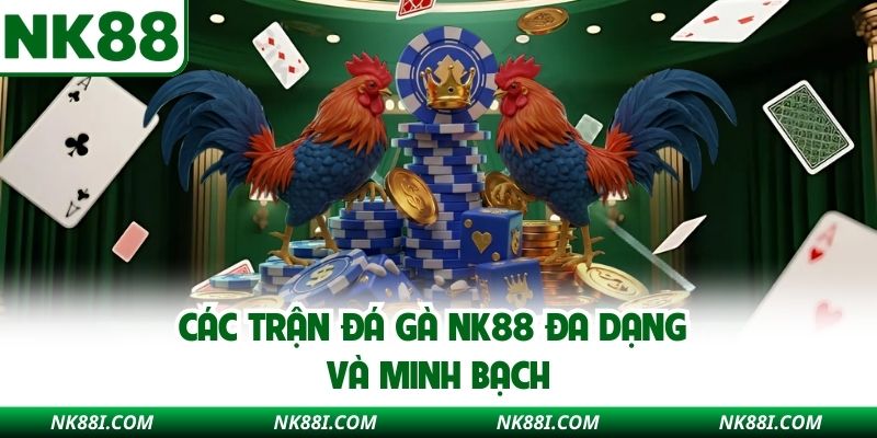 Các trận đá gà NK88 đa dạng và minh bạch