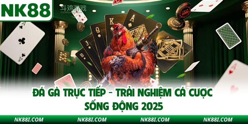 Đá Gà Trực Tiếp NK88- Trải Nghiệm Cá Cược Sống Động 2025