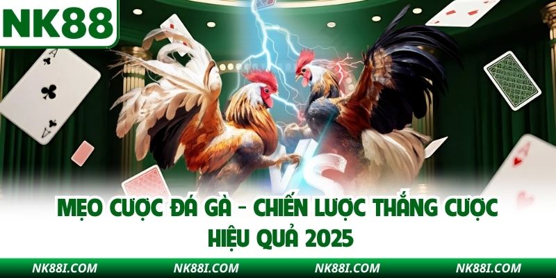 Mẹo Cược Đá Gà NK88 - Chiến Lược Thắng Cược Hiệu Quả 2025
